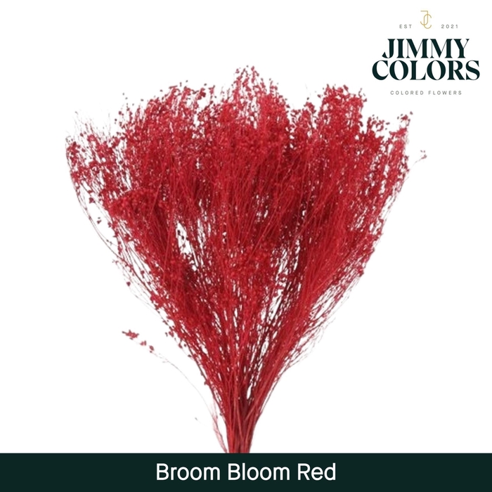 <h4>Broom Bloom Red</h4>