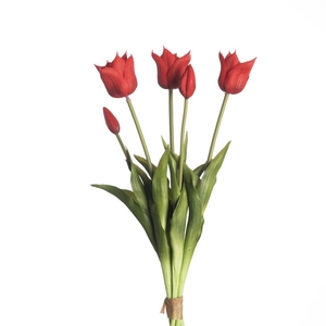 Af Tulip Bundle X5 L45cm Red