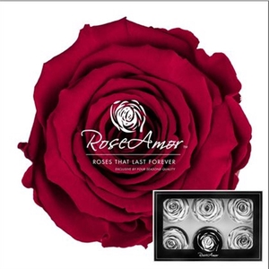 Huis en tuindecoratie overig H%