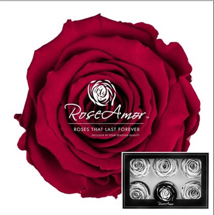 <h4>Huis en tuindecoratie overig H%</h4>