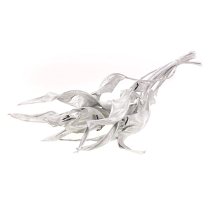 Strelitzia 10pc sb silver