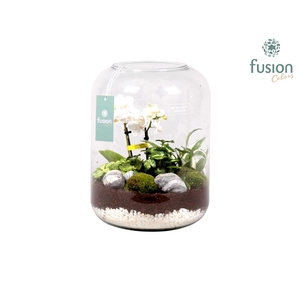 Green Bottle xlarge met white arrangement