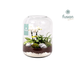 Green Bottle xlarge met white arrangement