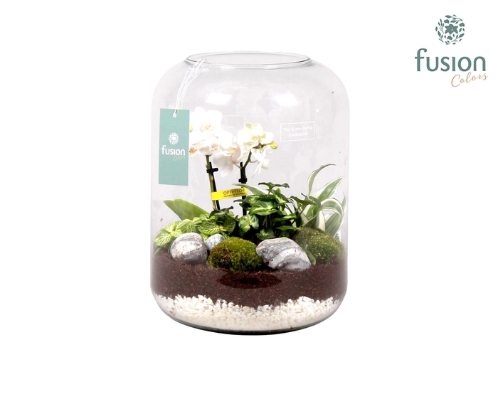 <h4>Green Bottle xlarge met white arrangement</h4>