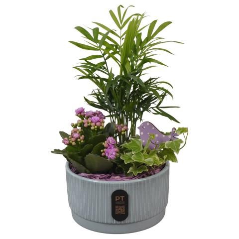 <h4>PTIB5115 Arrangement Indoor in keramiek schaal</h4>