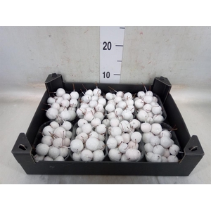 Decoratieve materialen   ...H%