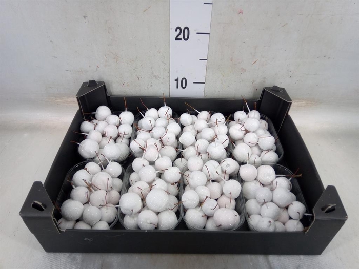 <h4>Decoratieve materialen   ...H%</h4>