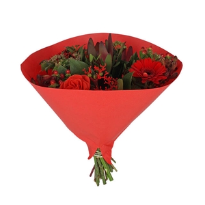 Hoes 35x35cm Angelo 70gr wit gestr. kraft rood 500/doos