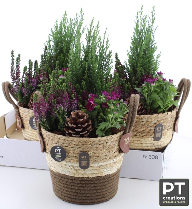 <h4>ARR TUINPLANTEN</h4>
