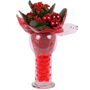 Christmas Arr. Indoor Glass Sphere Cylinder Vase Ø09cm 1PP