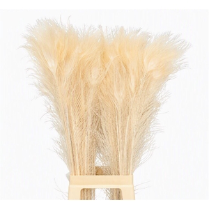 Feather Peacock L90 Bleached