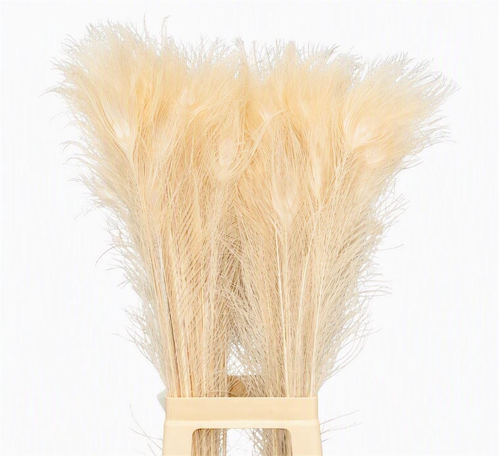<h4>Feather Peacock L90 Bleached</h4>