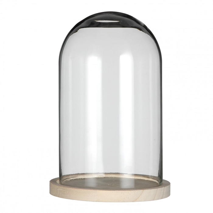 <h4>Glas Stolp Hout d17*25cm</h4>