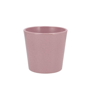 Ceramic Rosa Stone Pot Orchid 14cm