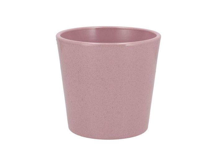 <h4>Ceramic Rosa Stone Pot Orchid 14cm</h4>