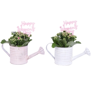 Womens Day Arr. Indoor Zinc Wateringcan With Rope Ø26cm 1PP