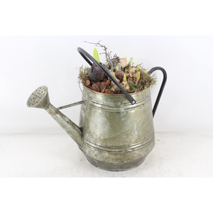 arr4 Bollenmix MB - Zink gieter green L x2