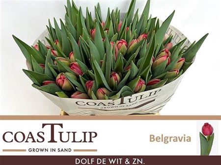 <h4>Tu Du Belgravia</h4>