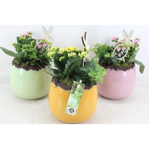 arr2 JS - Ker. ei colour mix