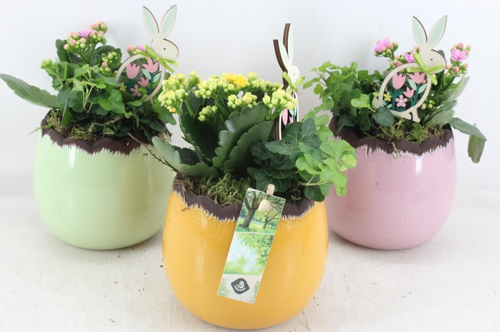 <h4>arr2 JS - Ker. ei colour mix</h4>