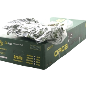Aralia Vacuum Orca