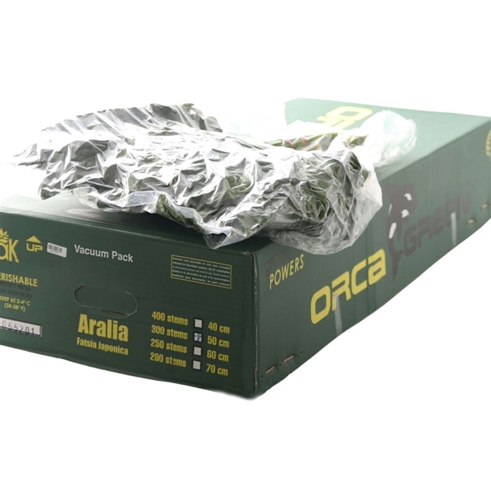 <h4>Aralia Vacuum Orca</h4>