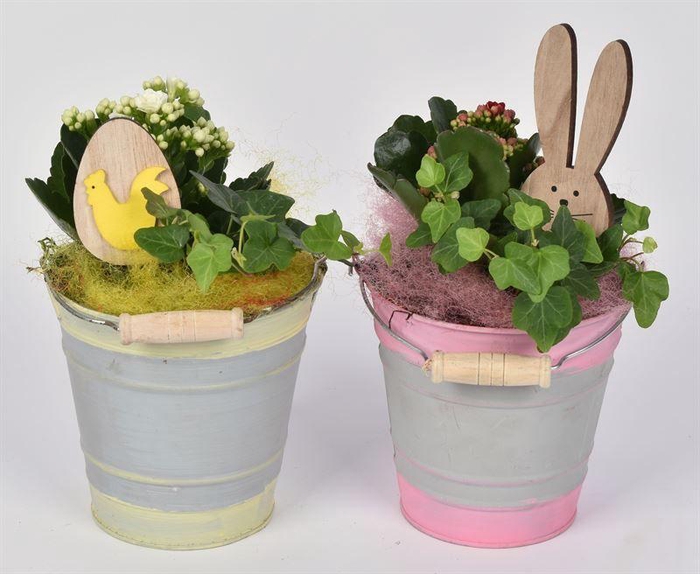 <h4>Zink emmertje kl.mix 13cm</h4>