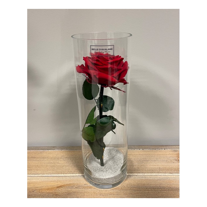 <h4>Cilinder d10x30h rood glas</h4>