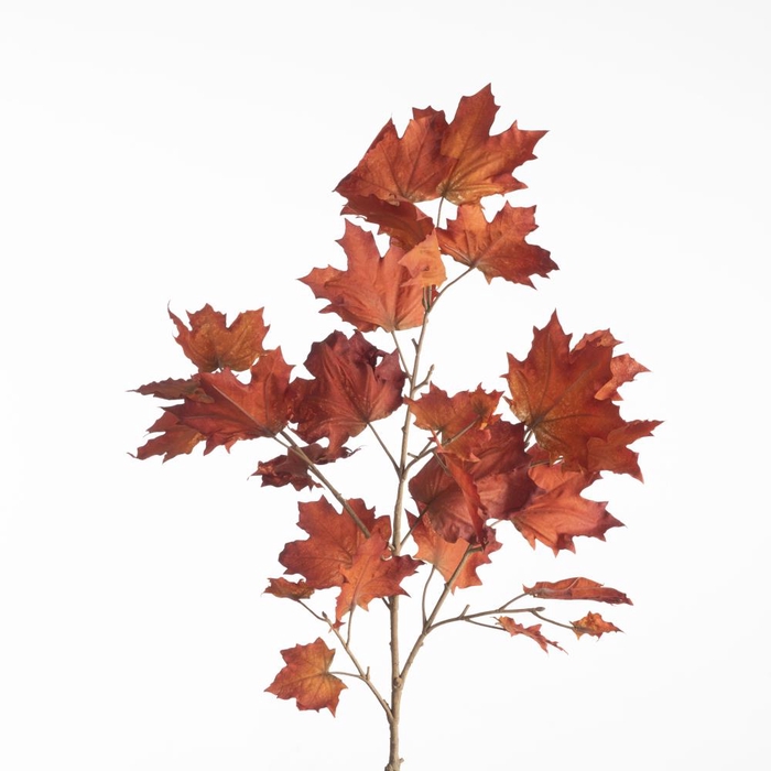 <h4>AF Maple Spray L112cm Orange</h4>