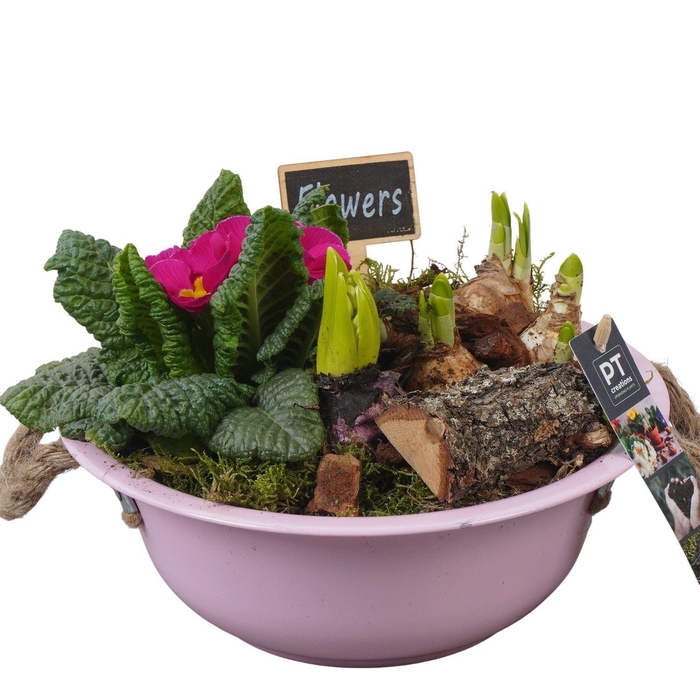 <h4>Arr.   Tuinplanten L%</h4>