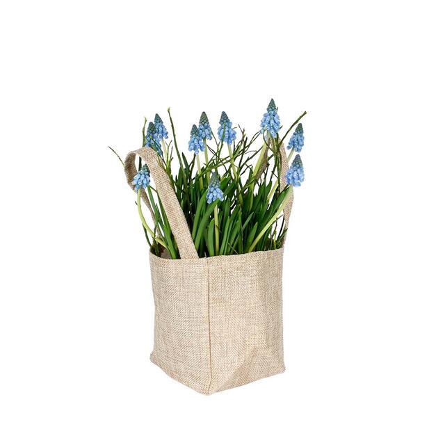 <h4>Bag Natural non-woven 12.5x11.5xH14.5cm 20/bag</h4>