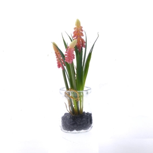 AF Muscari in glass H18cm pink