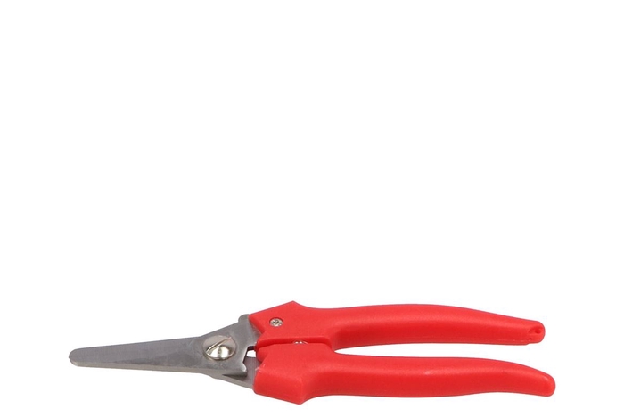 <h4>Floristry Hobby Scissors Big Red Budget</h4>