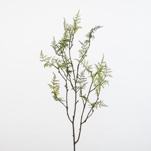 AF Asparagus Spray L77cm Green