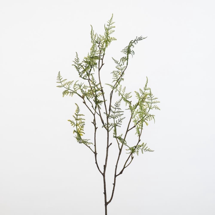 <h4>AF Asparagus Spray L77cm Green</h4>