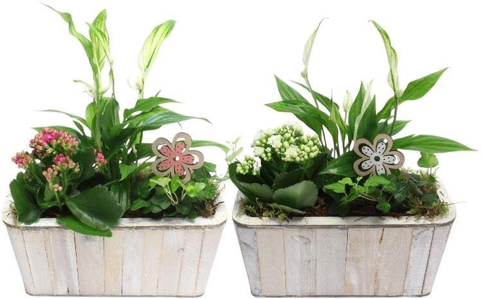 <h4>4871 HOUT RH SPATH</h4>