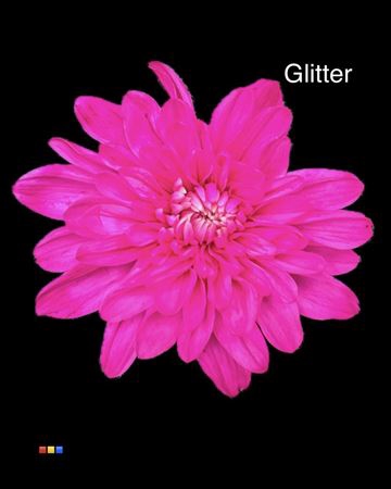 Chr T Baltica Cerise + Glit Bio