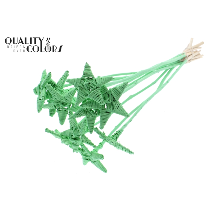 <h4>Lata Star on stem Covered Mint Green</h4>