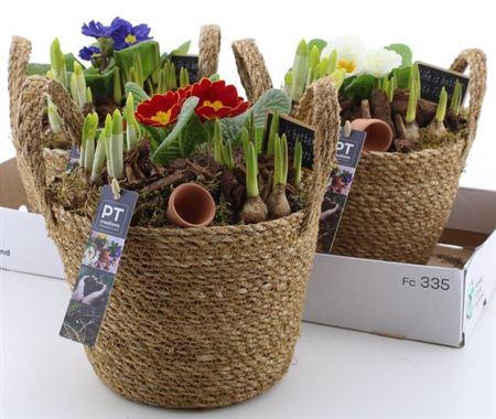 <h4>Arr Pl In Schaal</h4>