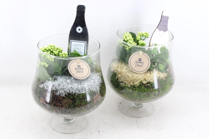 arr2 PL - Glas op voet x6 - goud/zilver