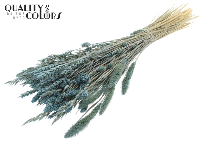 <h4>Dried Flower mix bunch Frosted Light Blue</h4>