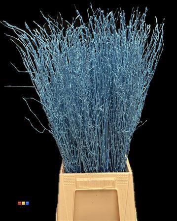 Betula / Berkentak Metallic Blue