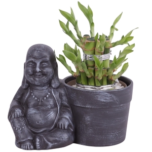 Lucky Bamboo Shape Round 2S in Ceramic Sitting Buddha Ø19cm