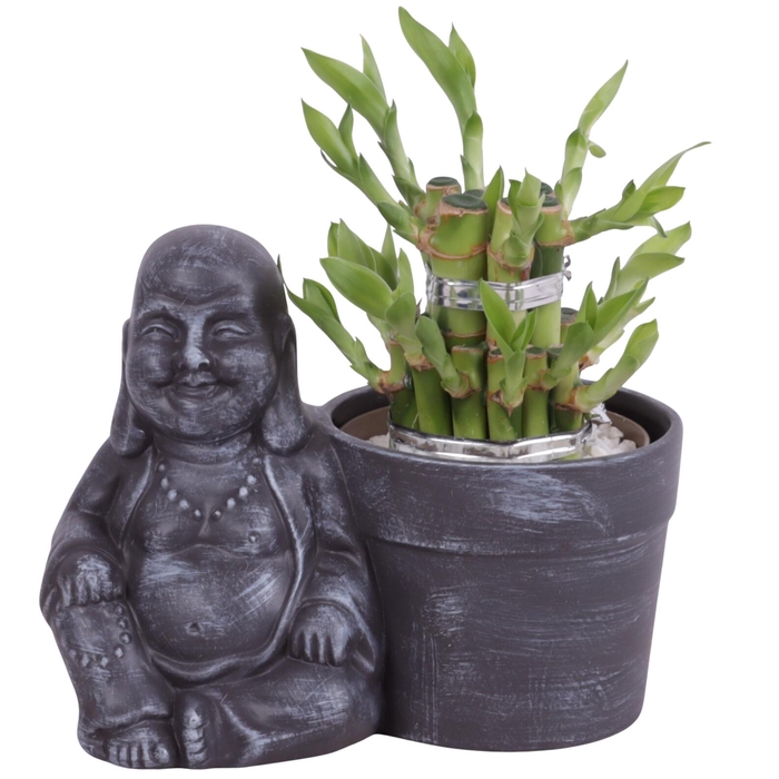 <h4>Lucky Bamboo Shape Round 2S in Ceramic Sitting Buddha Ø19cm</h4>
