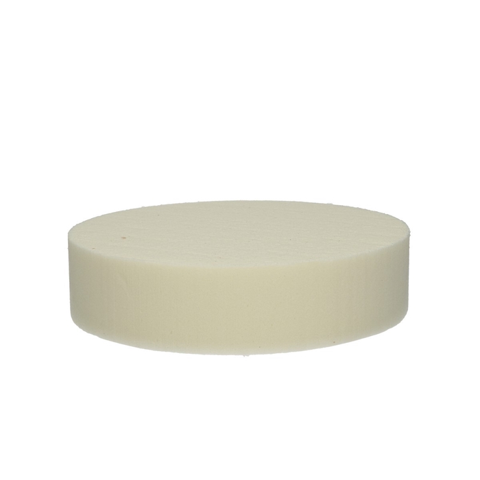 <h4>Oasis Kleur Cake d20*5cm</h4>