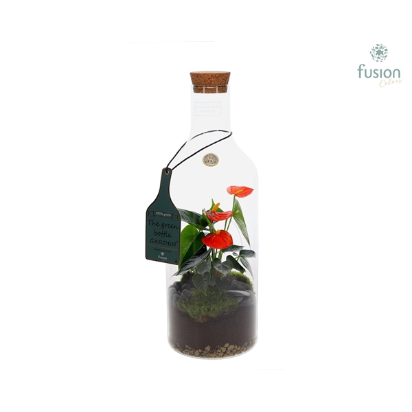 Green Bottle Fles Medium met Anthurium