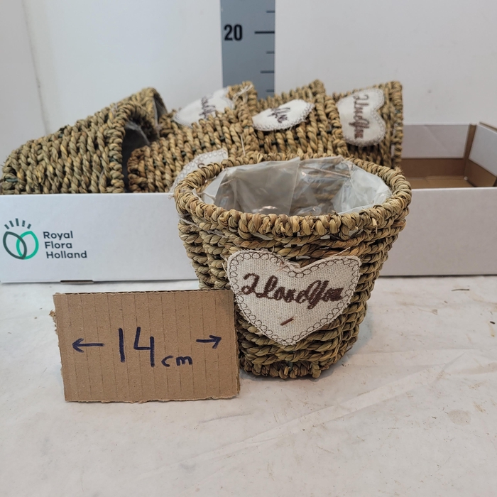 <h4>MANDWERK H%</h4>