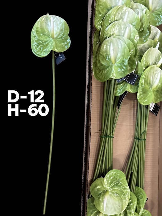 <h4>HUIS EN TUINDECO H%</h4>