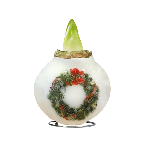 <h4>Amaryllis Touch of Wax Porcelain Christmas Wreath 8x1, rode bloem, Tray408</h4>
