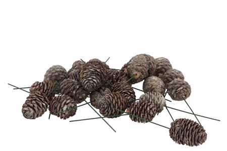 <h4>Pick Nature Sabulosum Stone Wh On Wire P/100</h4>